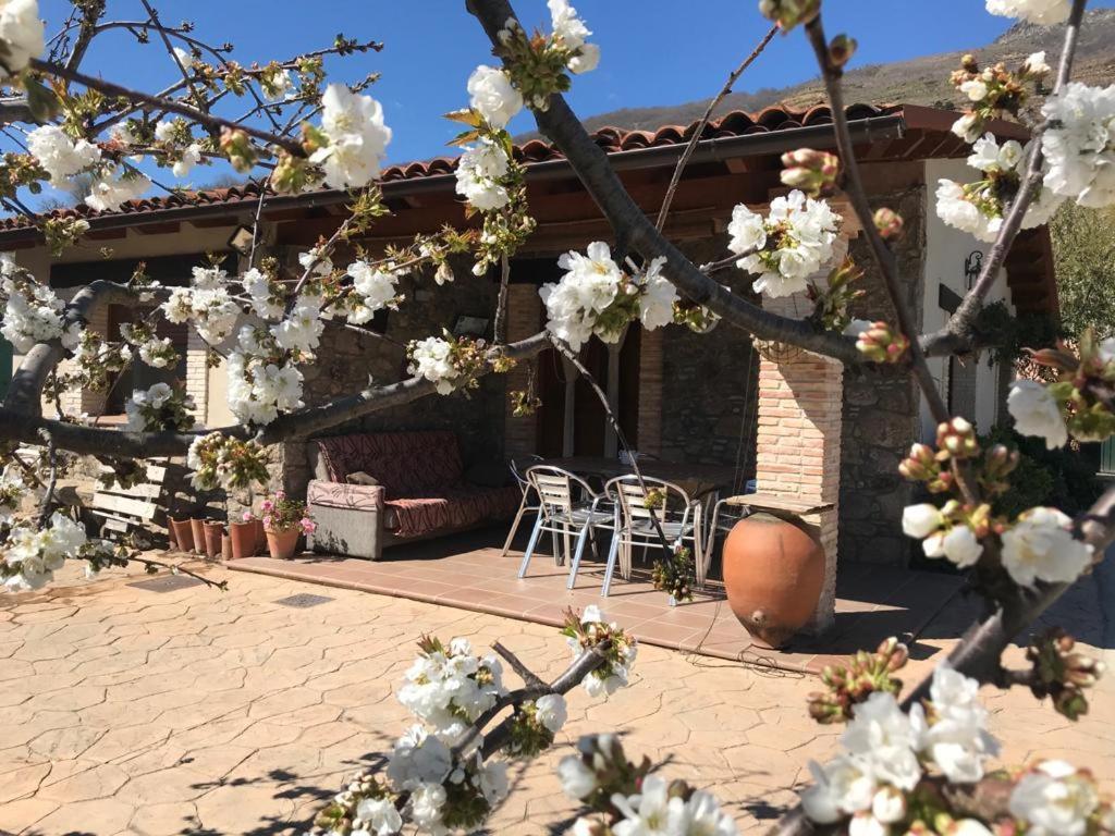 Casa Rural La Picotina นาวากอนเซโค ภายนอก รูปภาพ