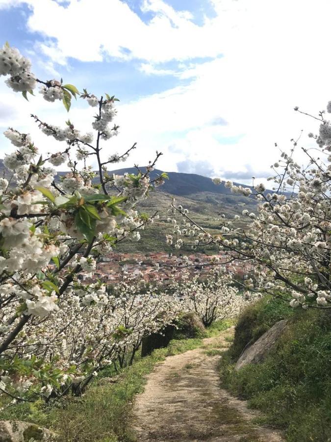 Casa Rural La Picotina นาวากอนเซโค ภายนอก รูปภาพ