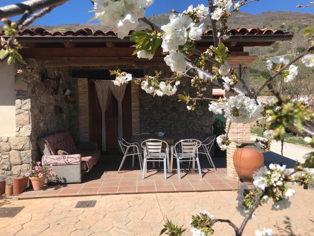 Casa Rural La Picotina นาวากอนเซโค ภายนอก รูปภาพ